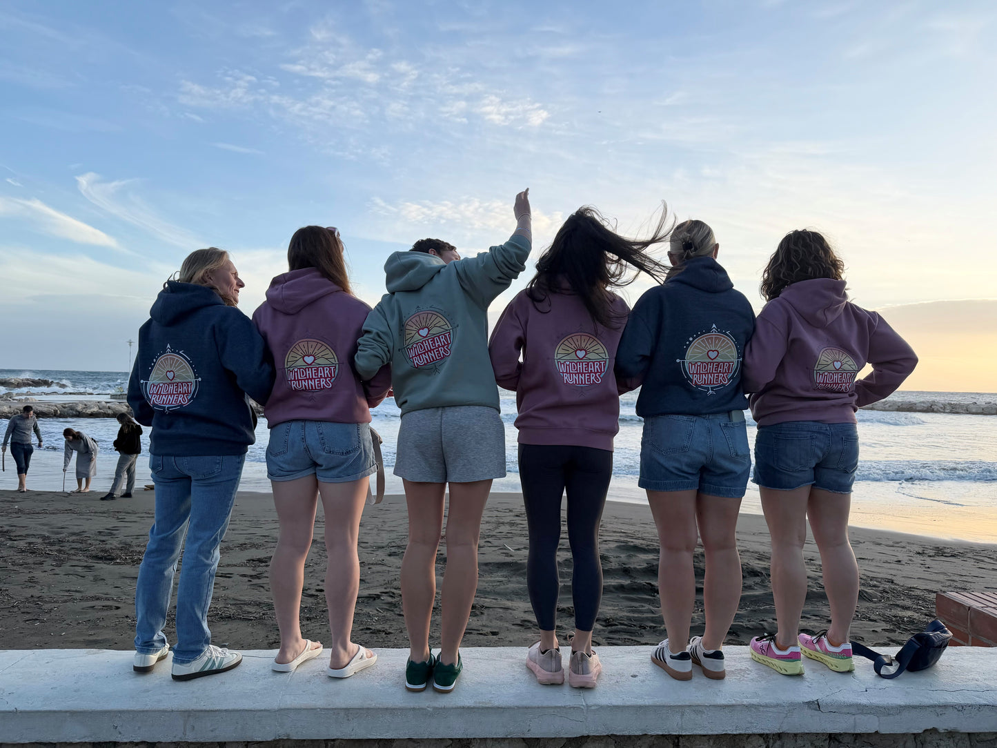 Wildheart dusty pink hoodies